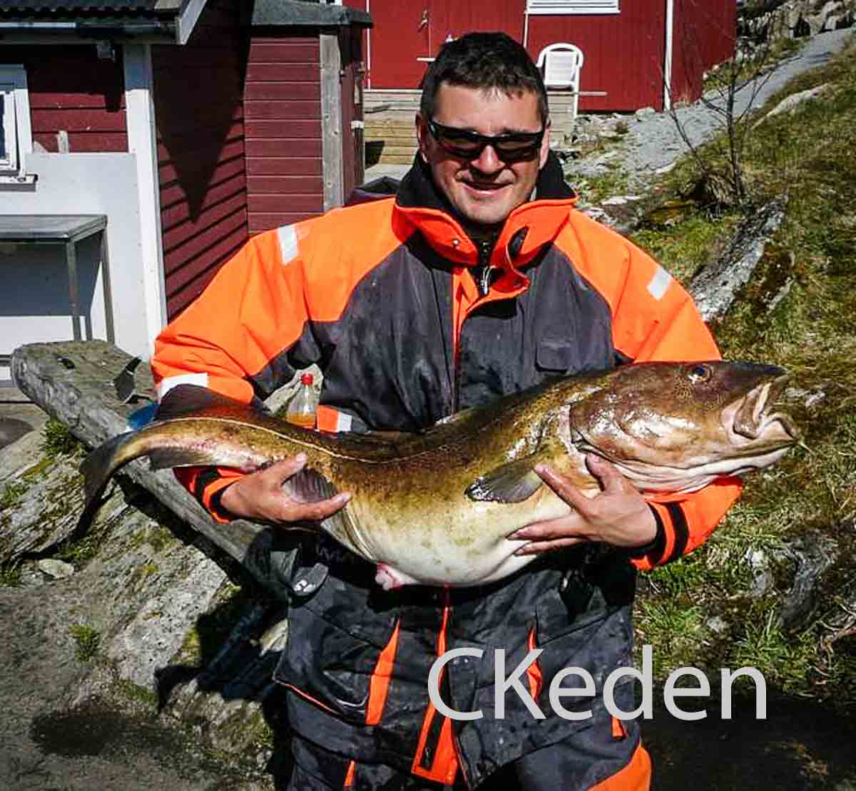 Treska obecná 5 způsobů, jak ji ulovit CK Eden